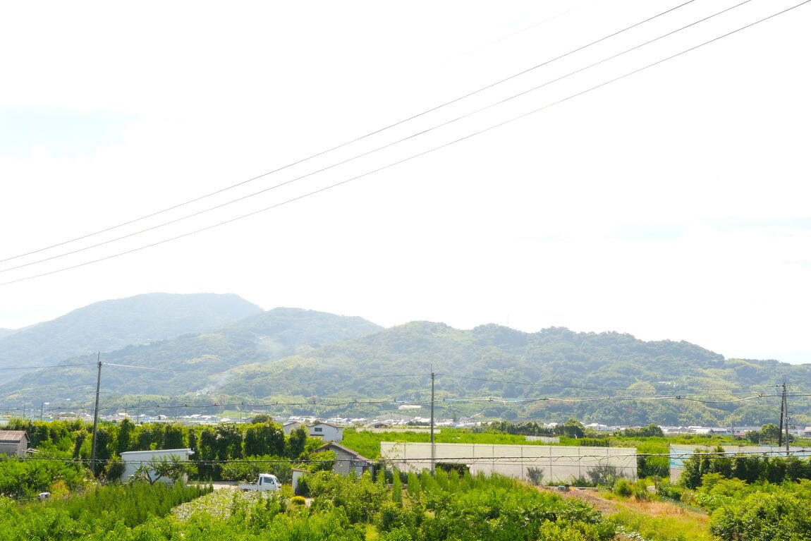 【ガーデンパーク和歌山】桃シロップのふるさとを訪ねて
