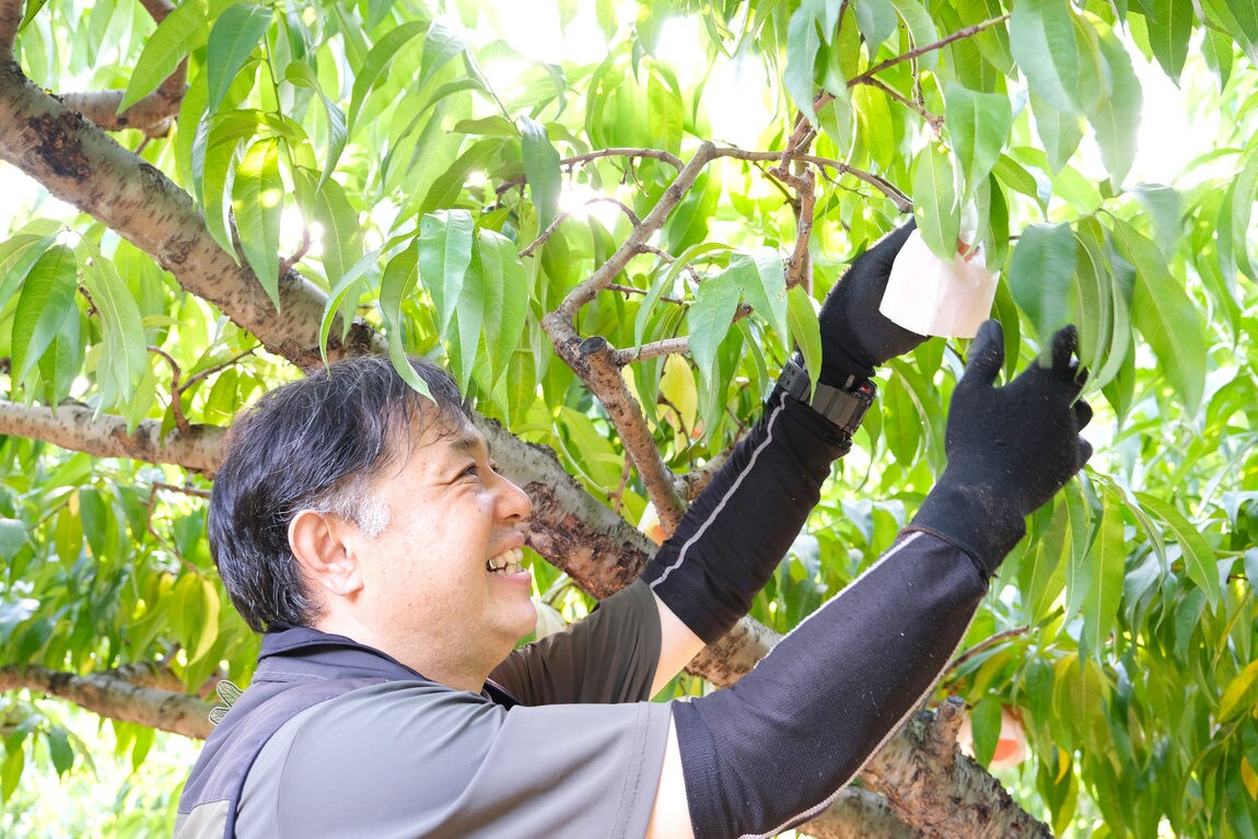 【ガーデンパーク和歌山】桃シロップのふるさとを訪ねて