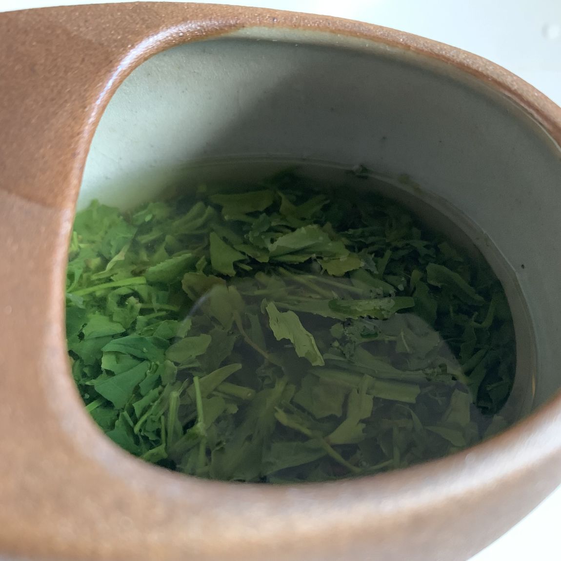 【近鉄四日市】よっかいちのお茶｜スタッフのおすすめ