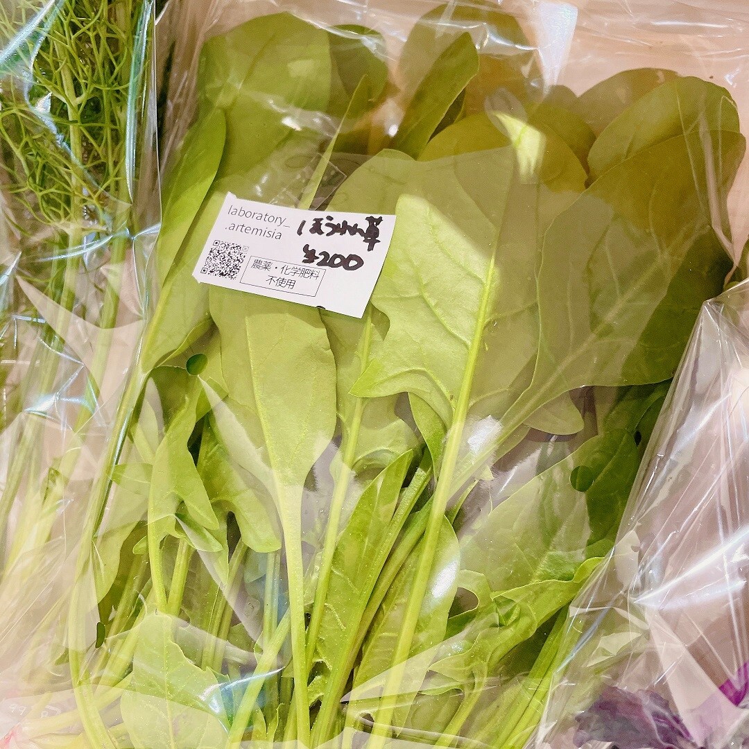 ほうれん草