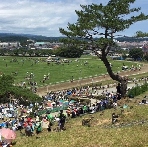 野馬追・騎馬戦風景/061767/01