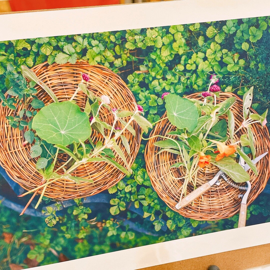 BOTANICAL MOMENT