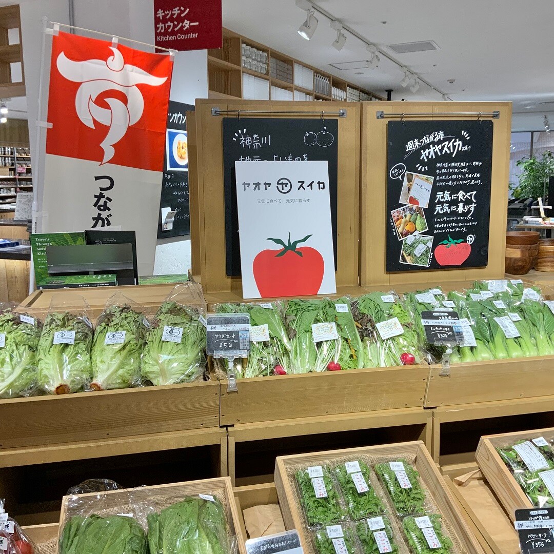 おすすめ043002.jpg 