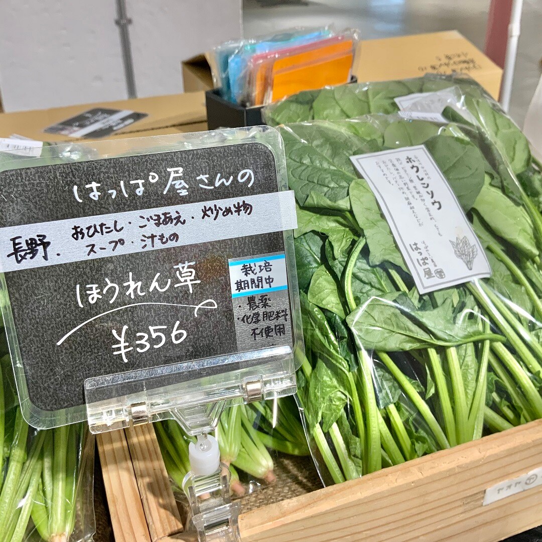 おすすめ043003.jpg 