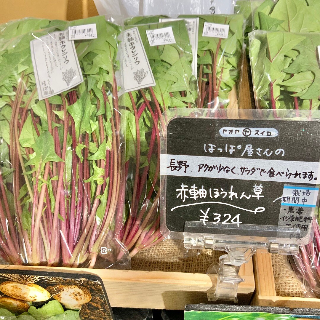 おすすめ043004.jpg 