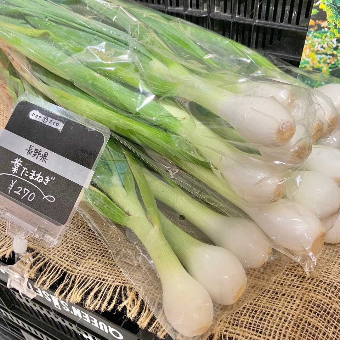 おすすめ043005.jpg 