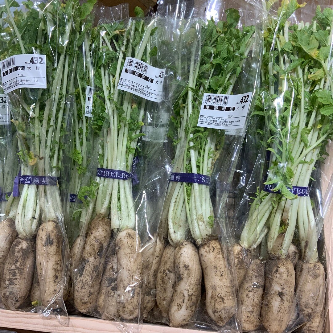 おすすめ123105.jpg 