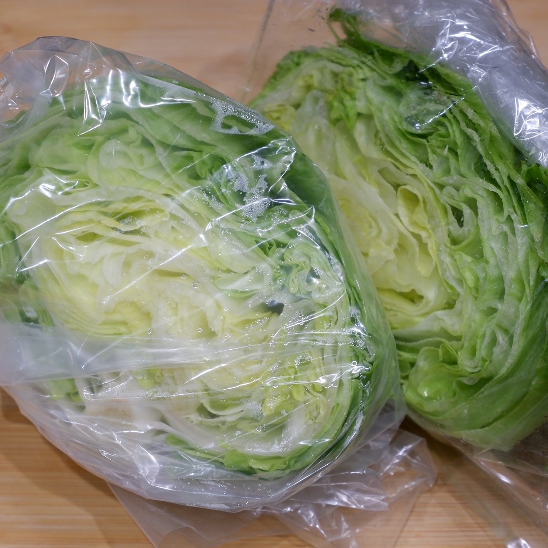 キャベツの写真