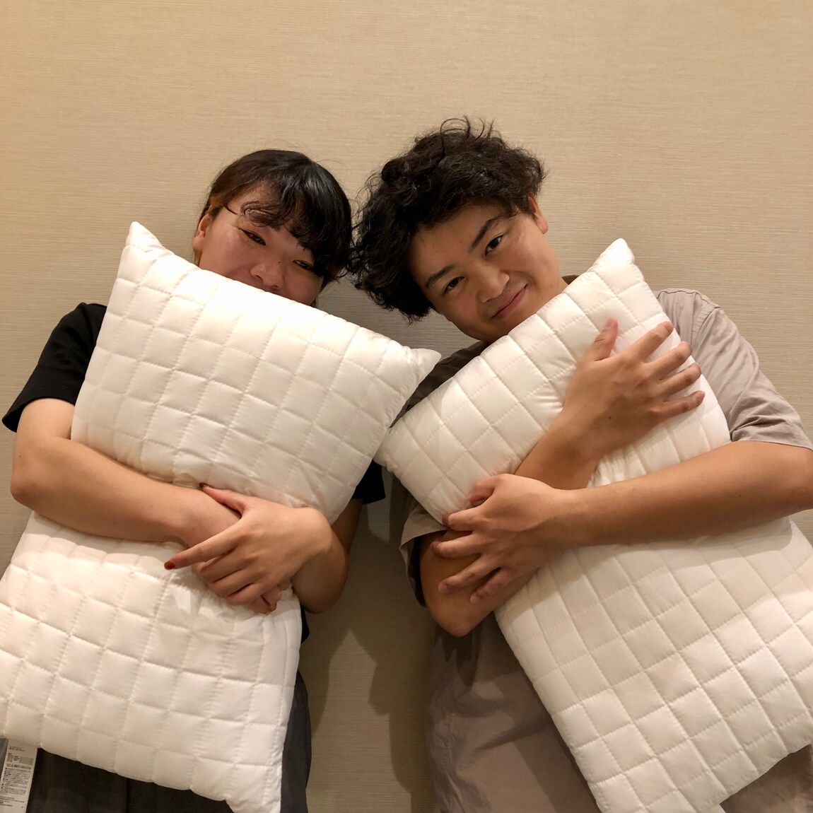 防ダニ枕