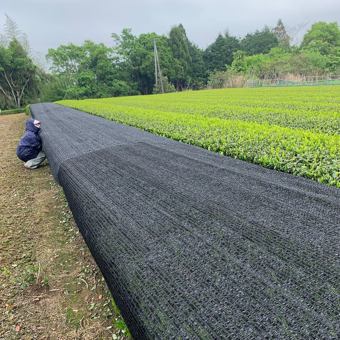 【近鉄四日市】よっかいちのお茶 番外編｜スタッフのおすすめ