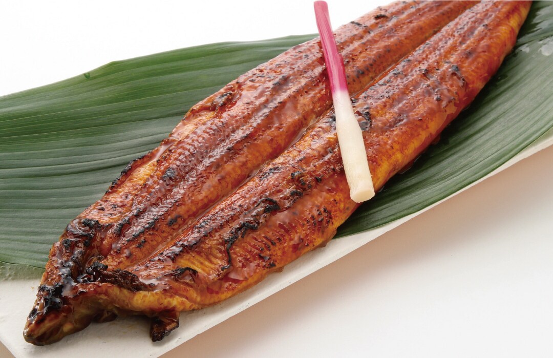 【堺北花田】うなぎを食べて元気に過ごそう