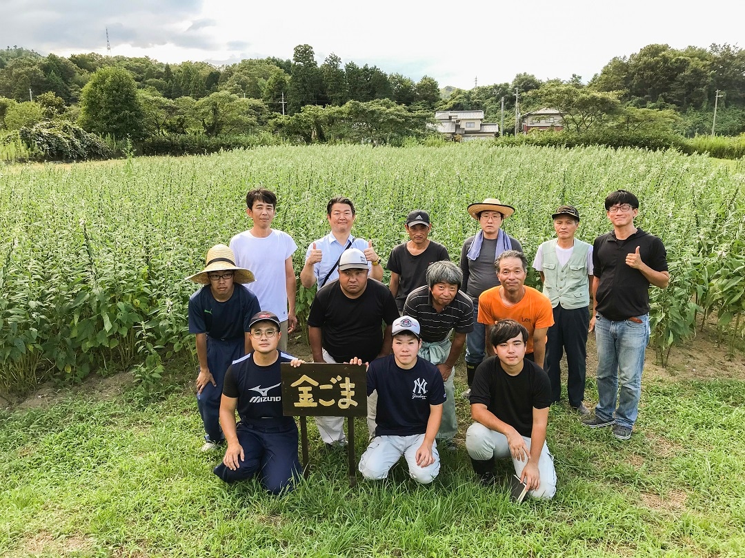 【京都山科】たくましく生きている、ごま