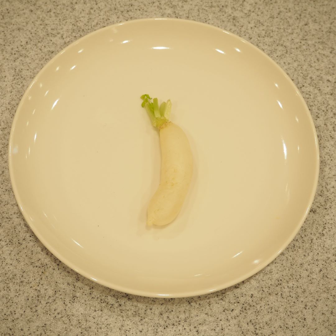 すずしろ