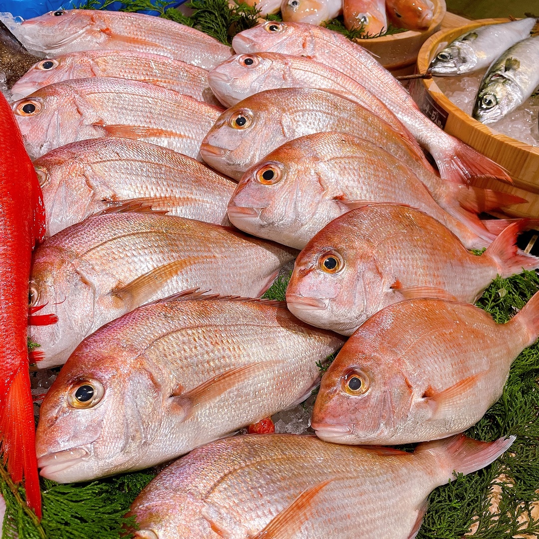 【堺北花田】今日は家族みんなでごちそうを｜鮮魚売場から