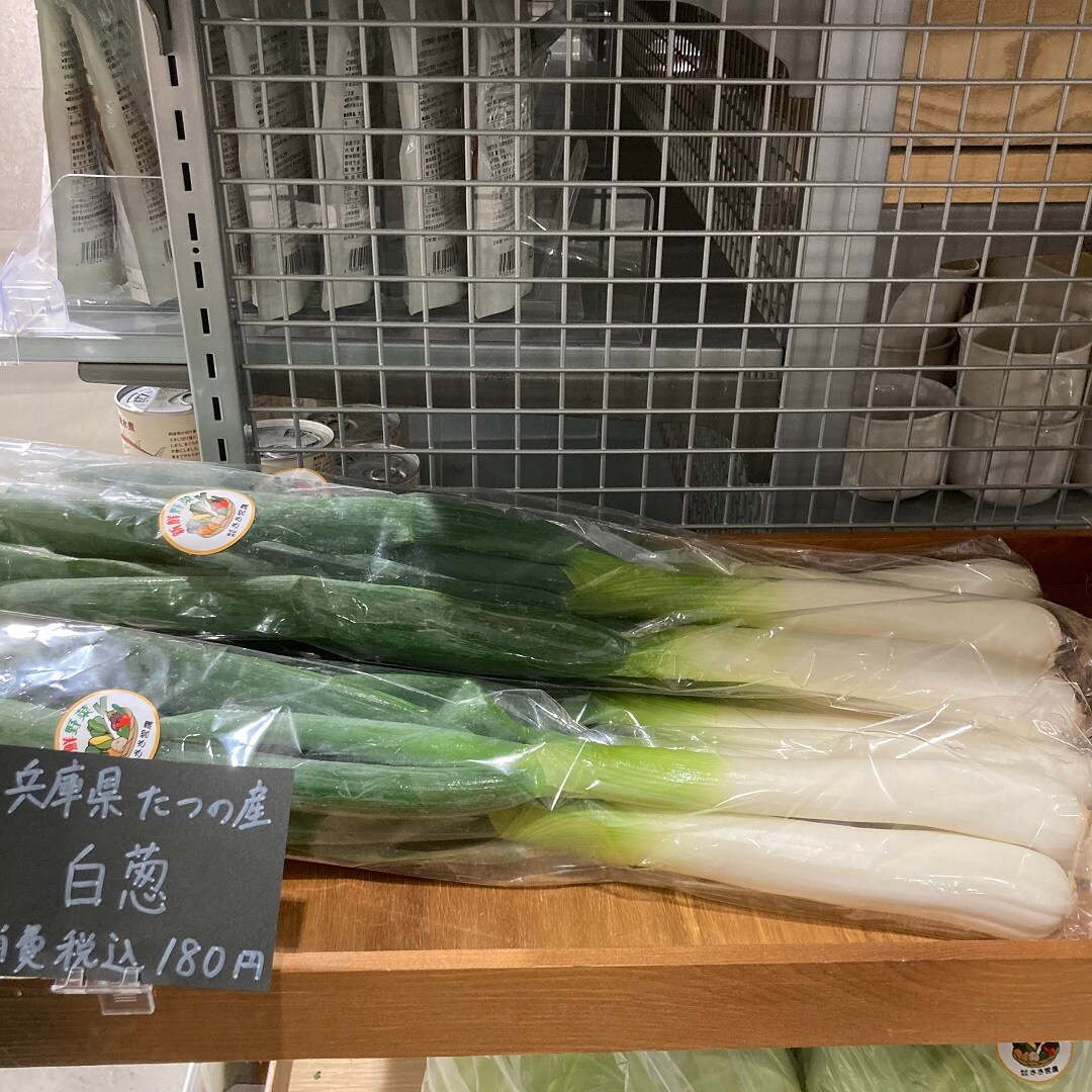 ねぎ