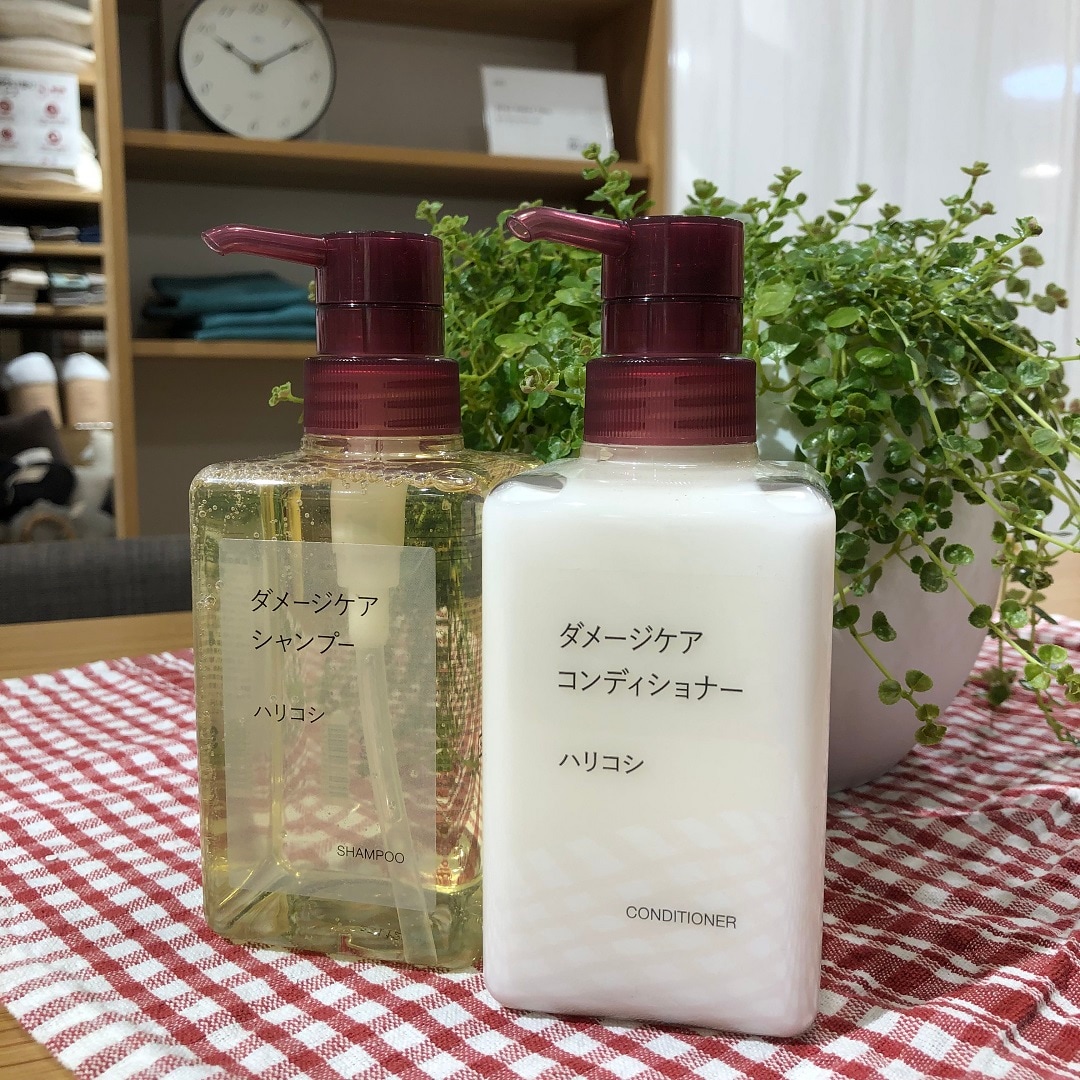 はりこし