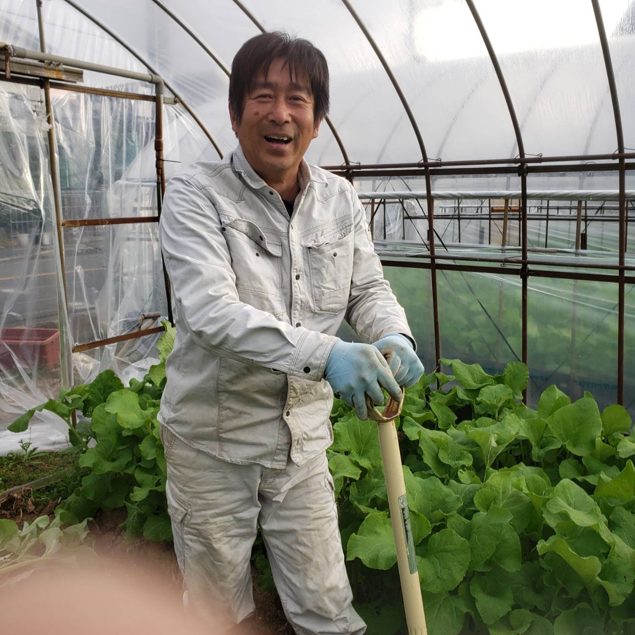 【堺北花田】季節のふるまい