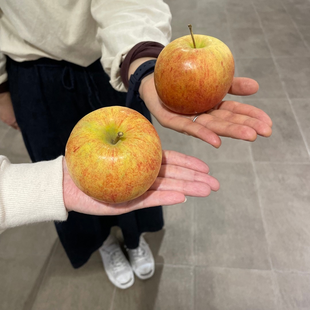 【セレオ国分寺】不揃いりんご　届きました