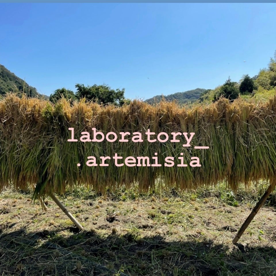 Laboratory artemisiaさん