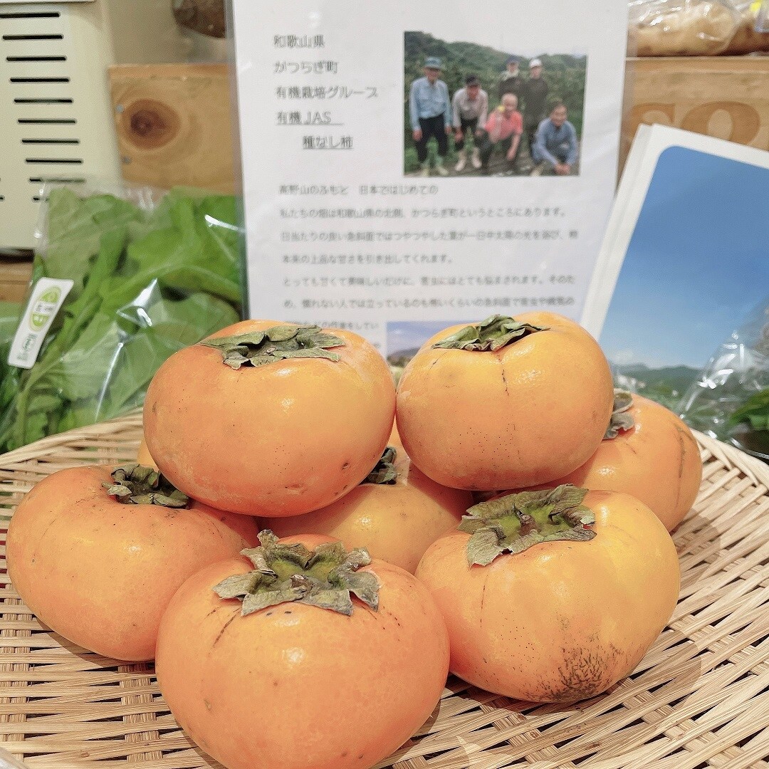 カキプレ