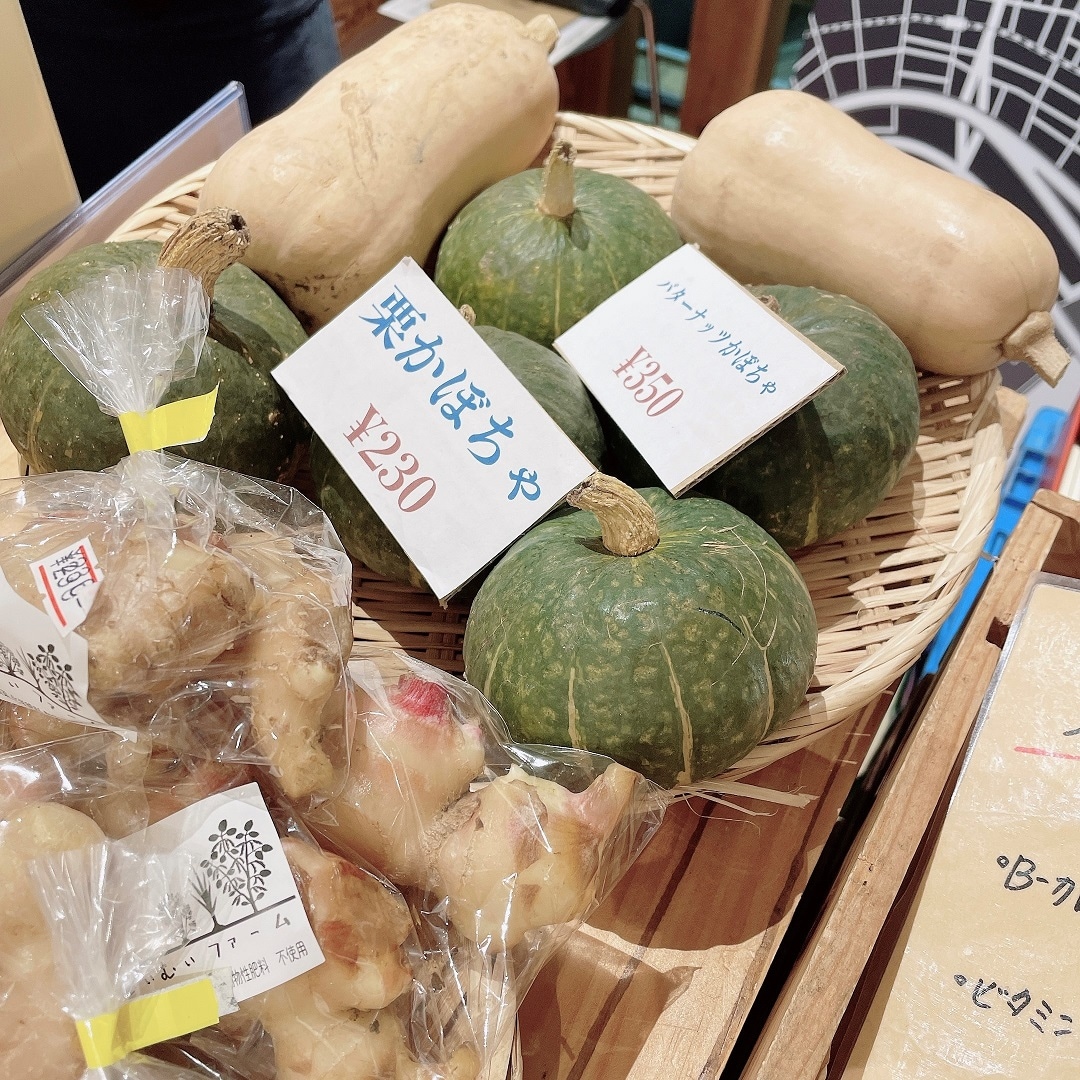 カボチャたち