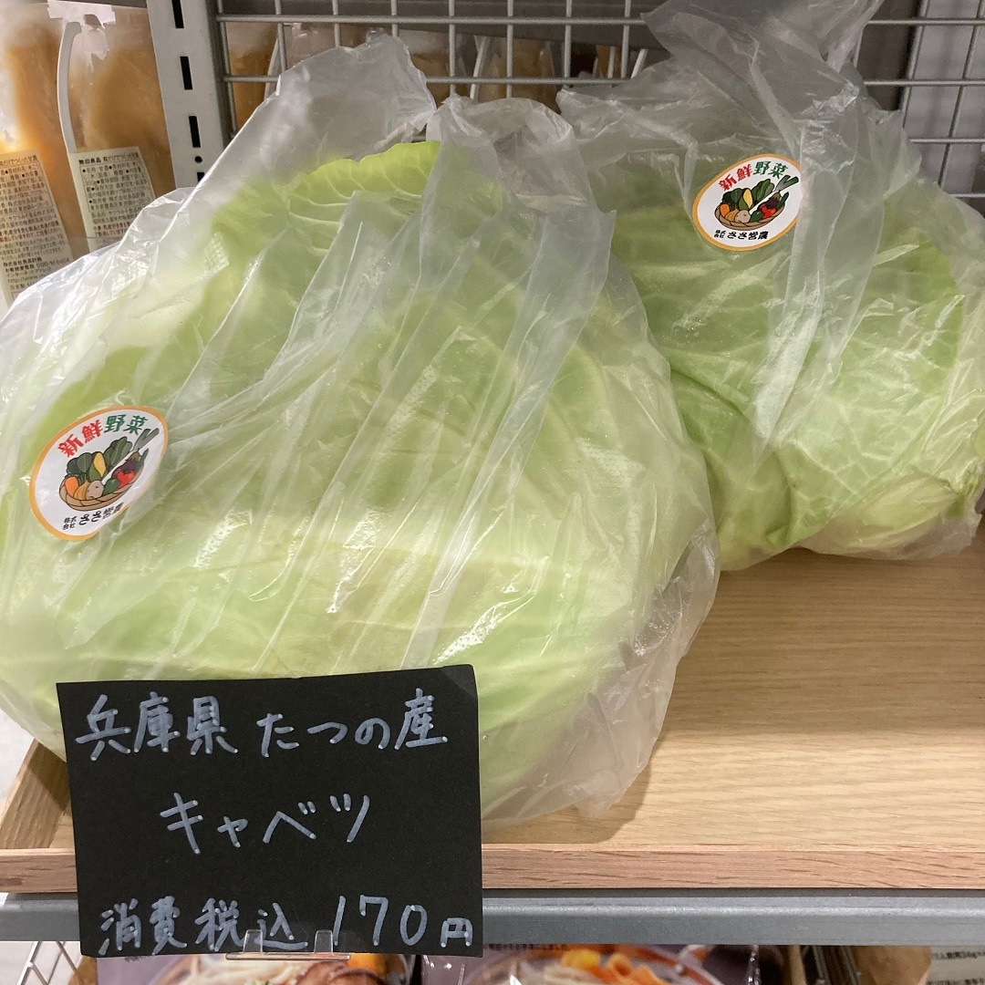 キャベツ