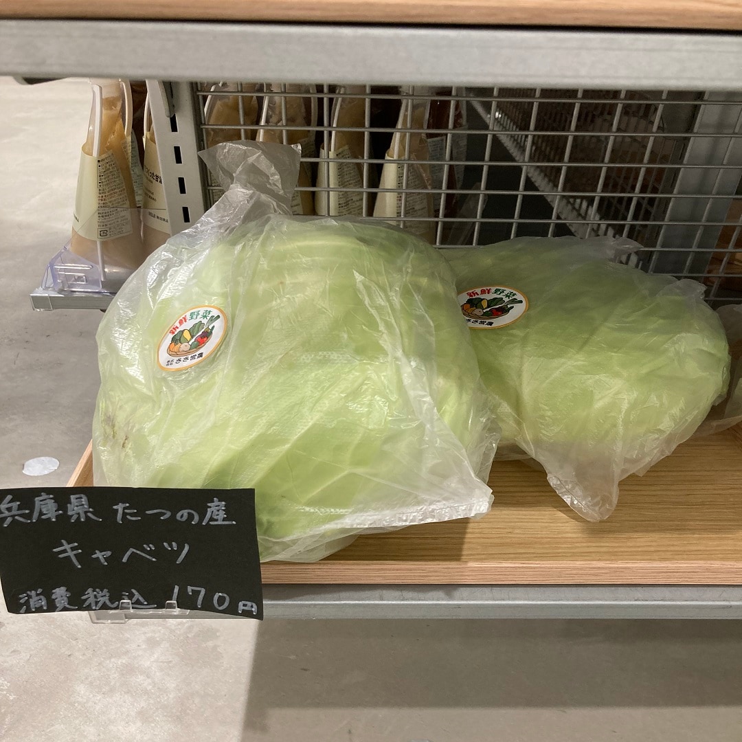 キャベツ