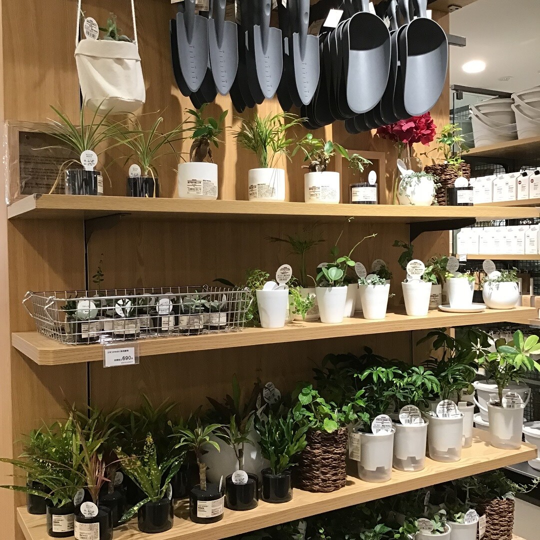 【MIDORI長野】植物にかこまれて