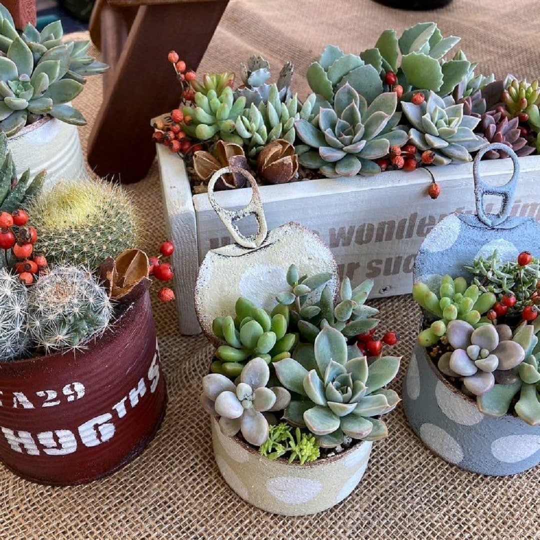 壽屋1