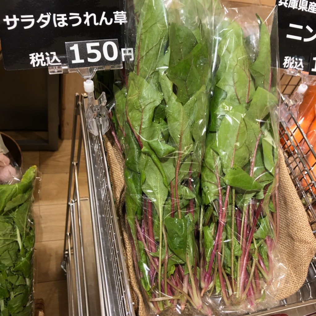 サラダ