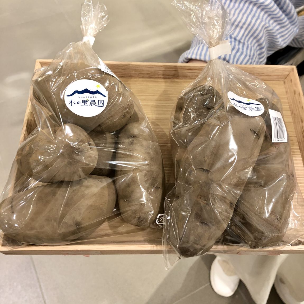 シャドークイン
