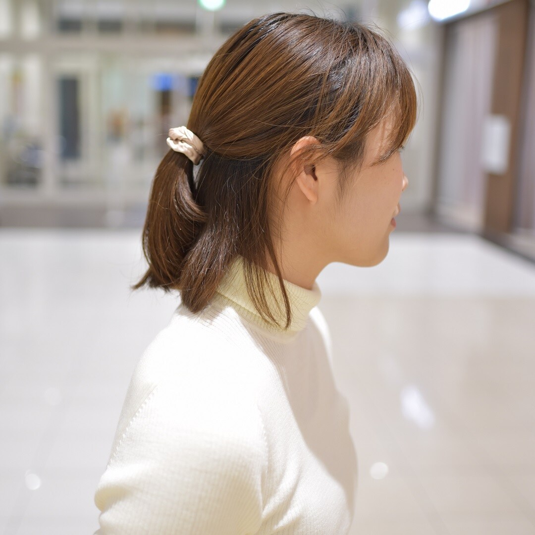タートル2
