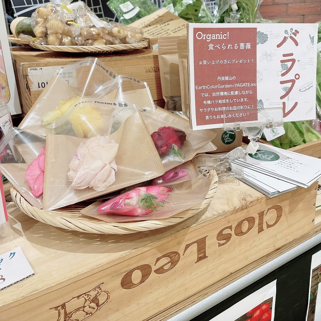 バラプレ