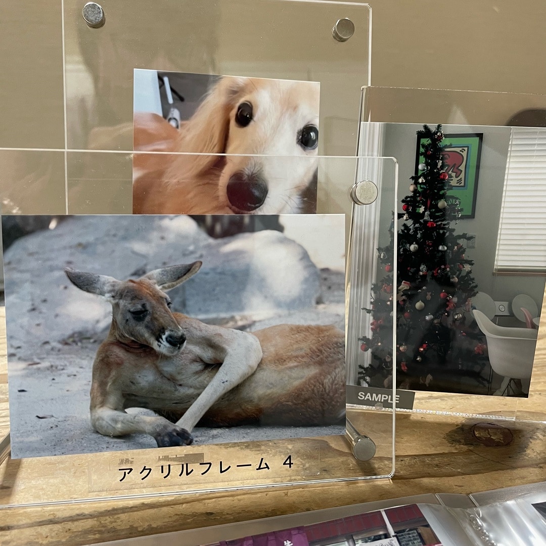 宝
