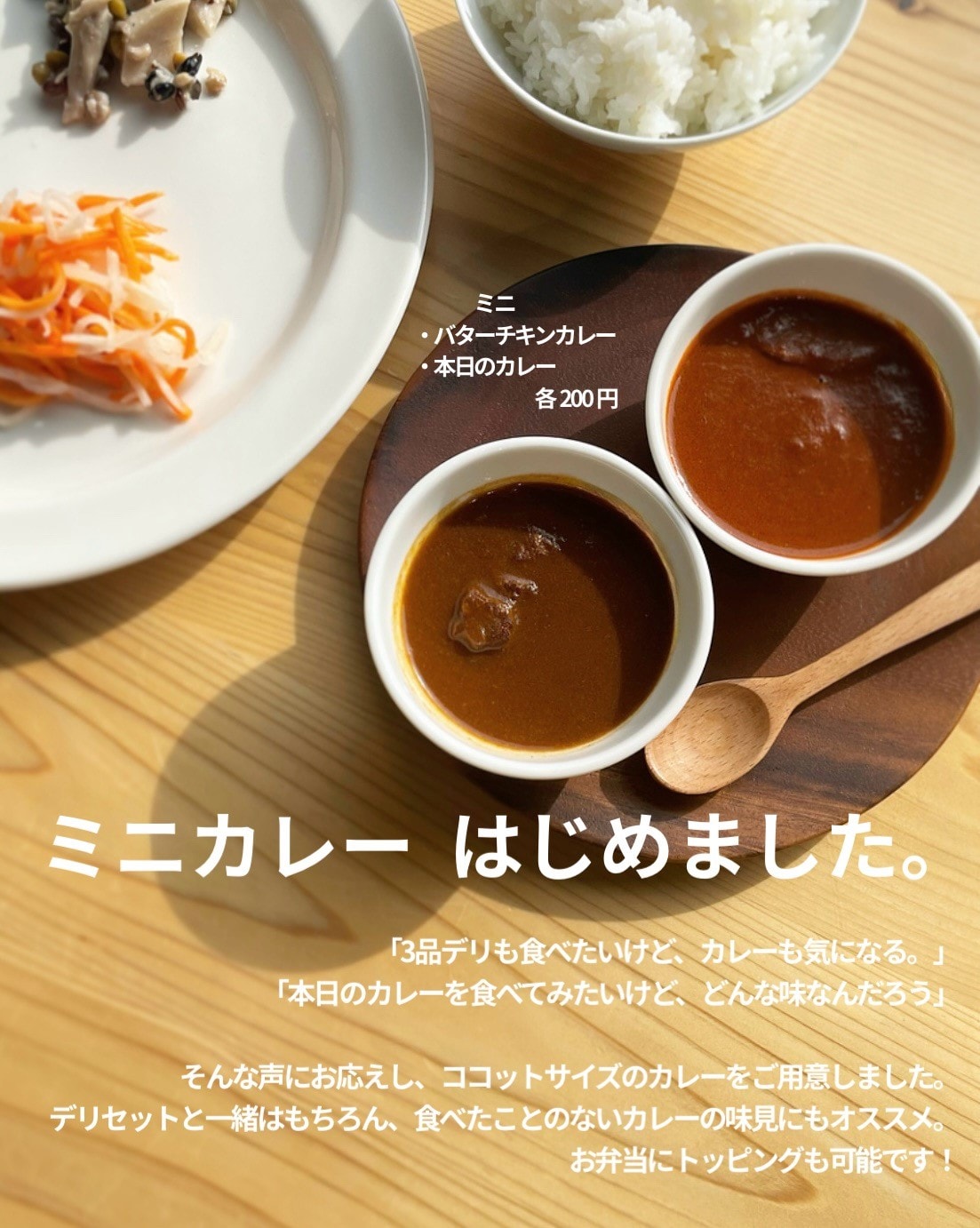 ミニカレー