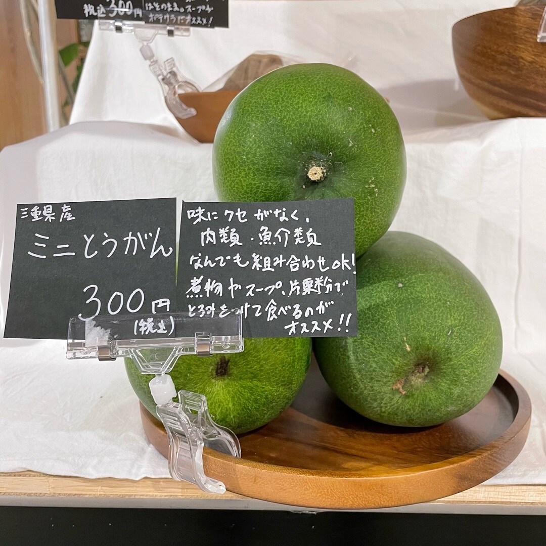 ミニ冬瓜1