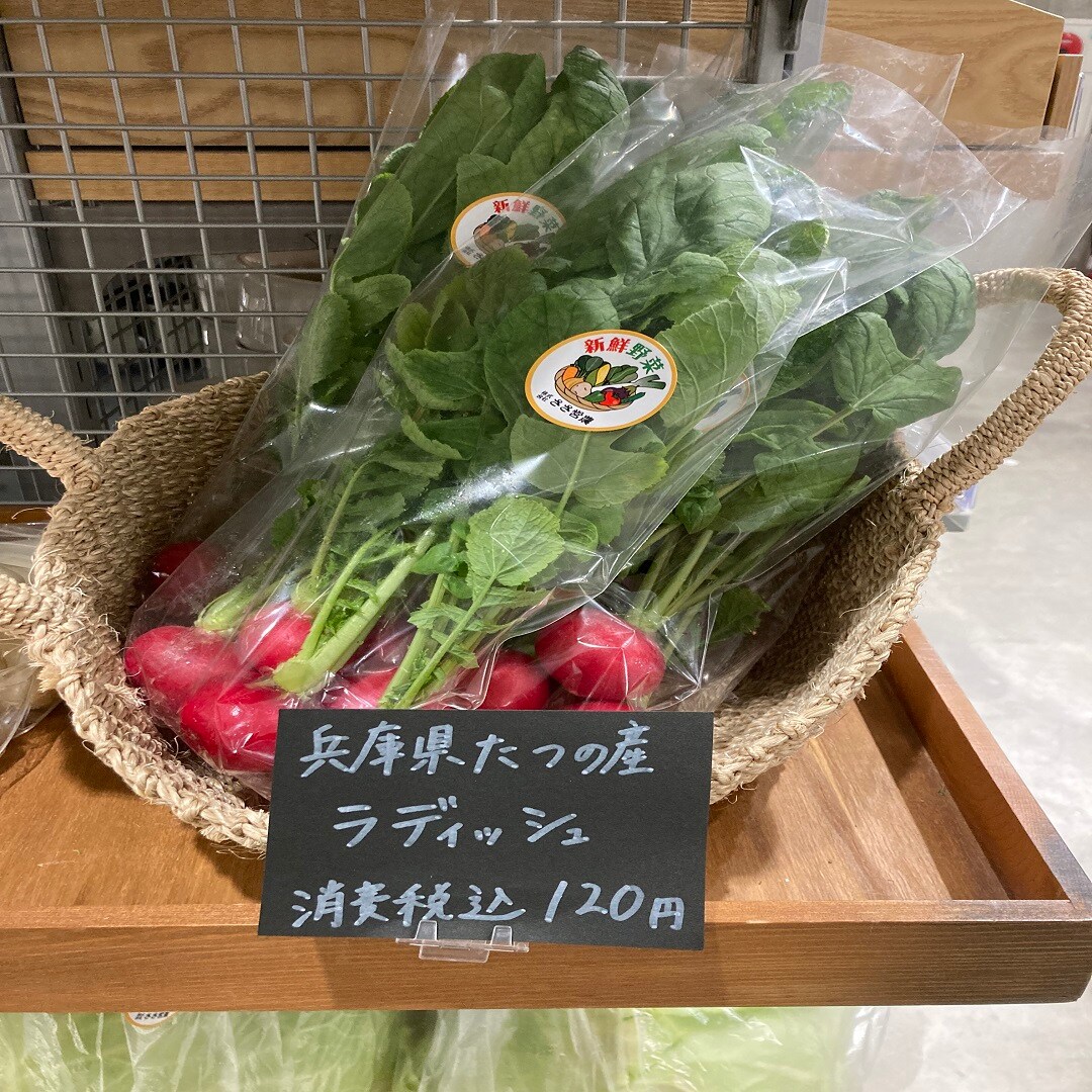 ラディッシュ
