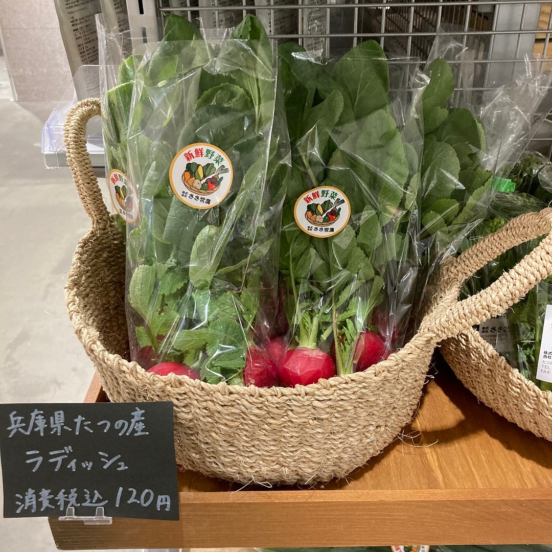 ラディッシュ