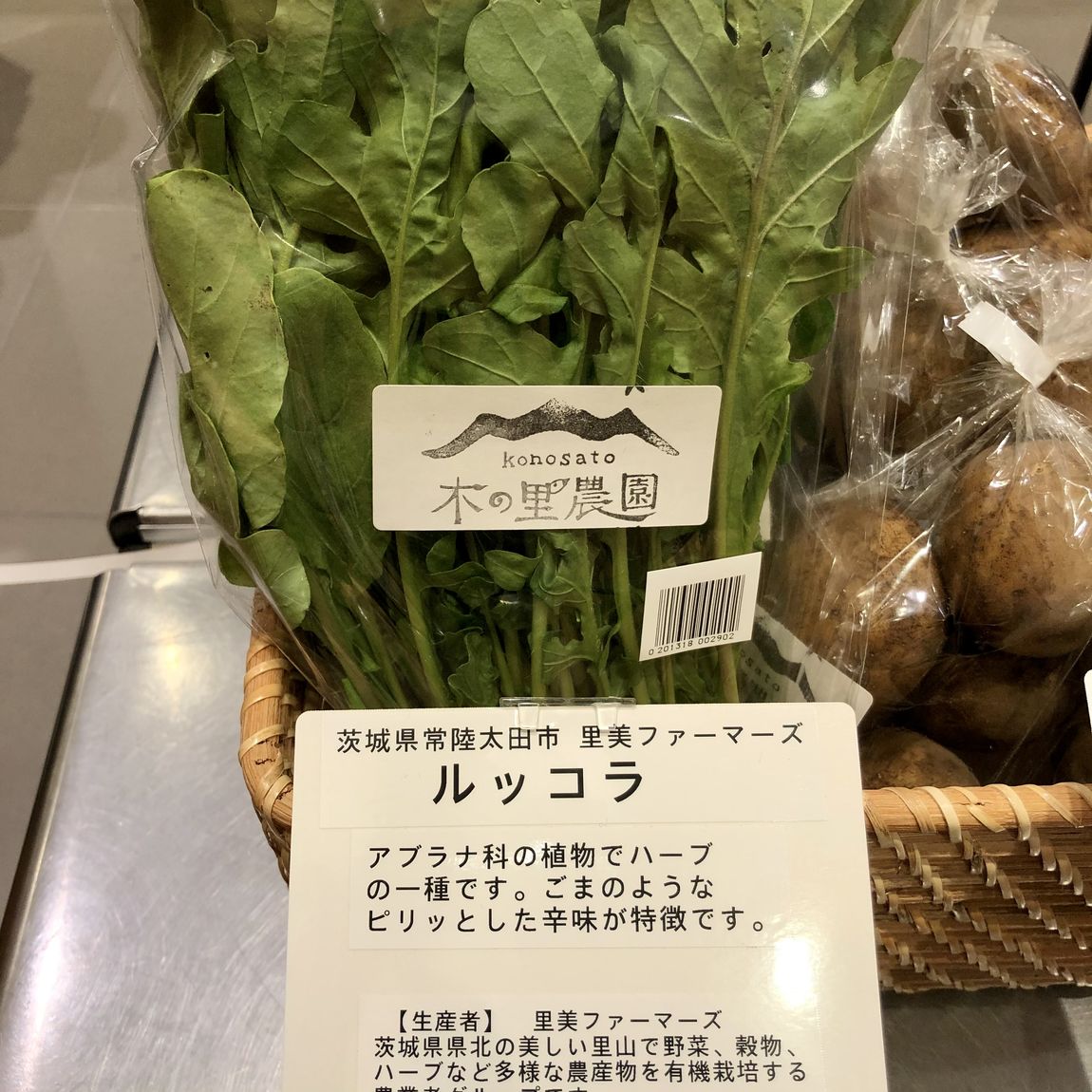 画像1