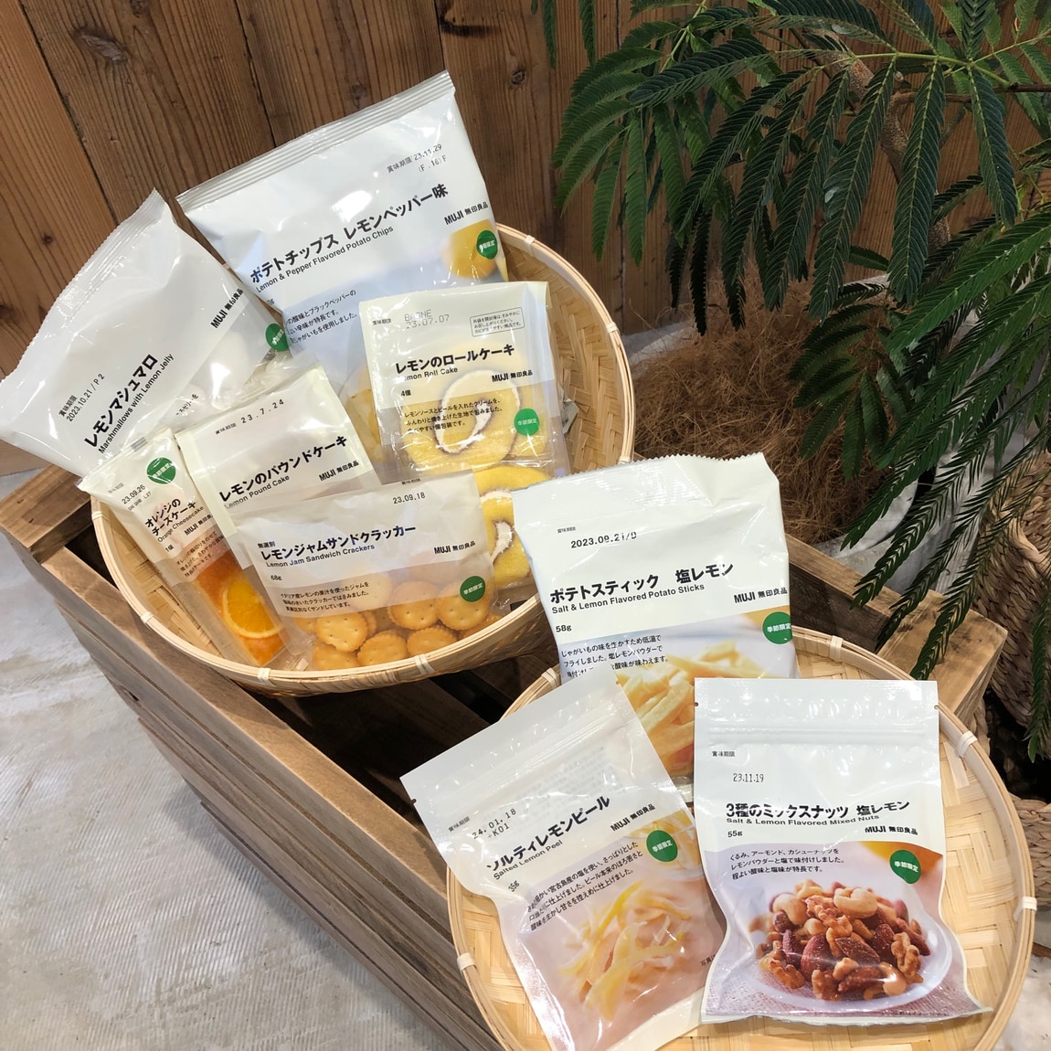 食品新商品