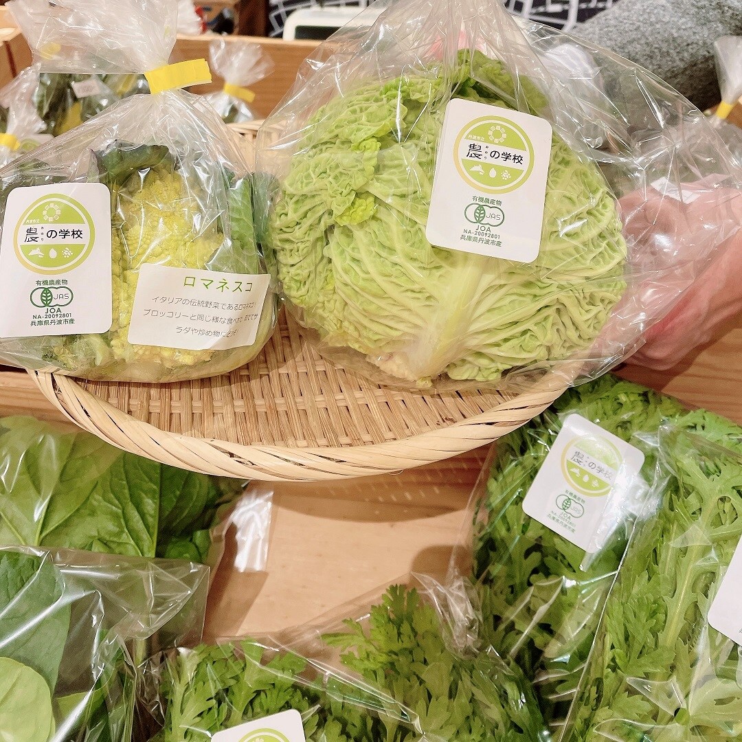 ロマネスコとサボイキャベツ