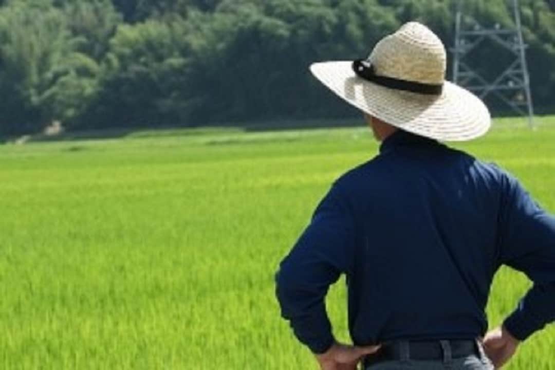 一所懸命農園