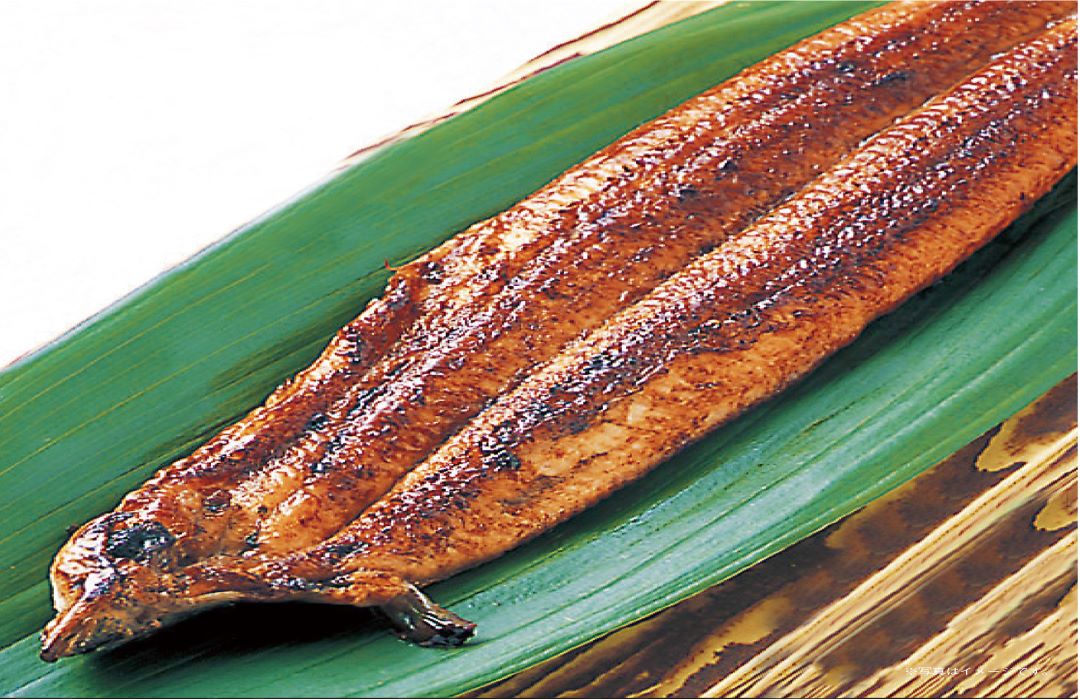 【堺北花田】うなぎを食べて元気に過ごそう