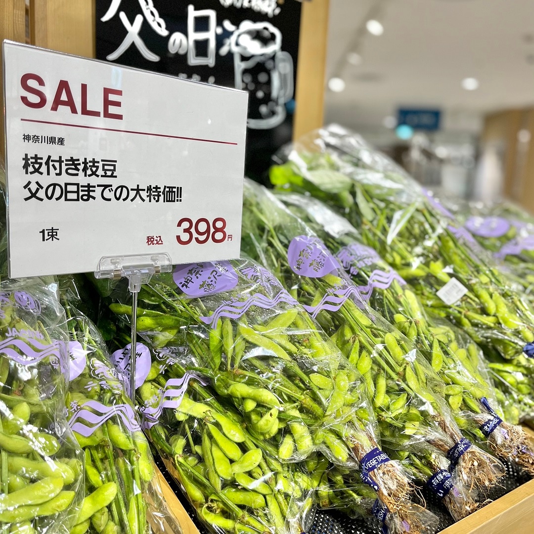入荷061701.jpg 