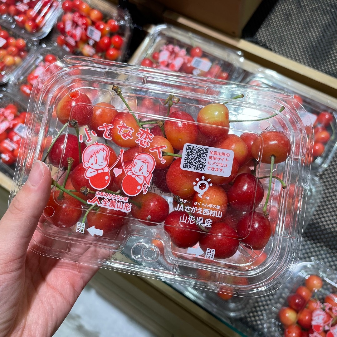 【港南台バーズ】初夏の味覚、佐藤錦 | 港南台調査隊