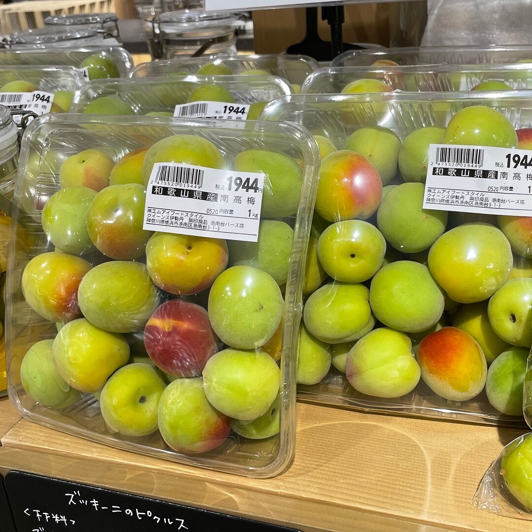【港南台バーズ】旬の梅で、梅酒づくり | 港南台調査隊