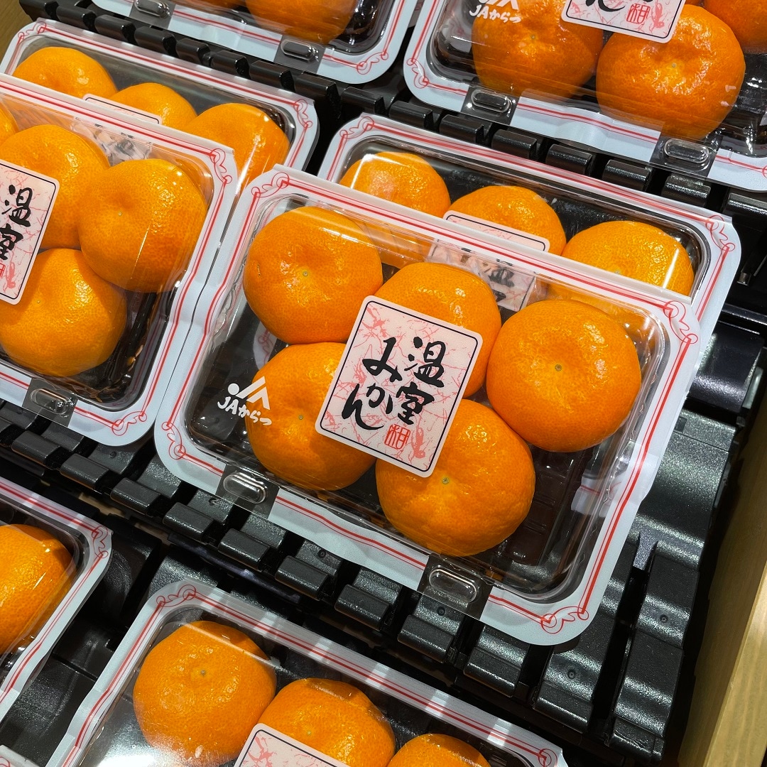【港南台バーズ】初夏の味覚、佐藤錦 | 港南台調査隊