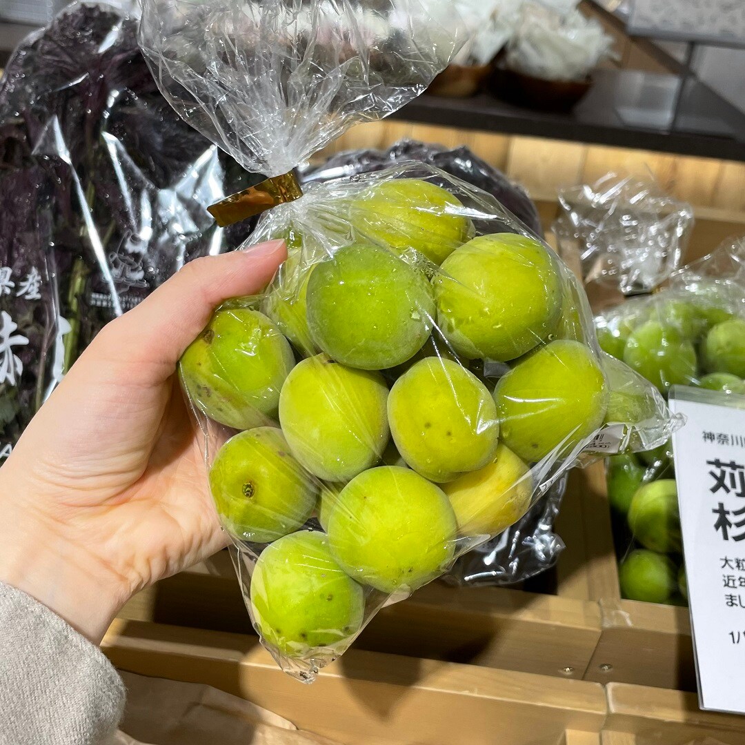 【港南台バーズ】旬の梅で、梅酒づくり | 港南台調査隊