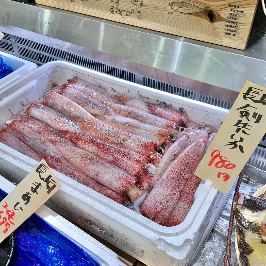 【港南台バーズ】三重県産 生かつお｜港南台調査隊