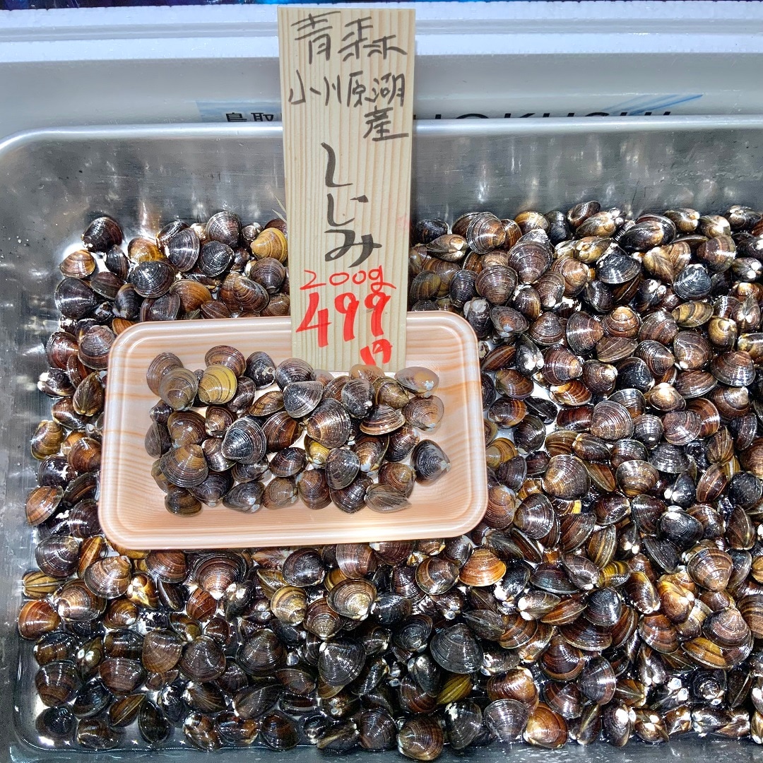 【港南台バーズ】三重県産 生かつお｜港南台調査隊